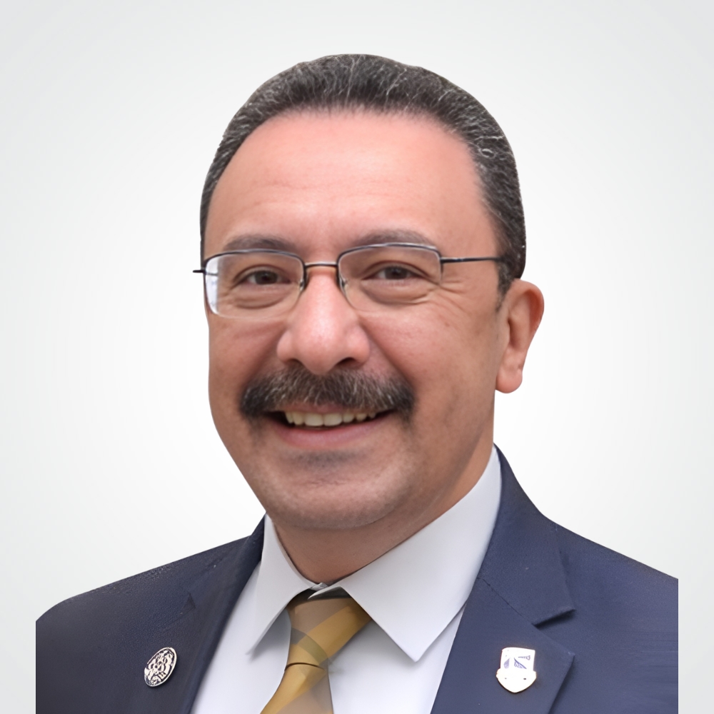 أ.د/ أحمد عادل عبدالحكيم