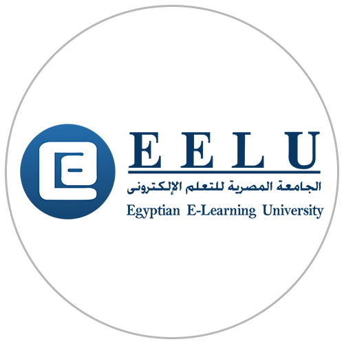 الجامعة المصرية للتعلم الإلكترونى