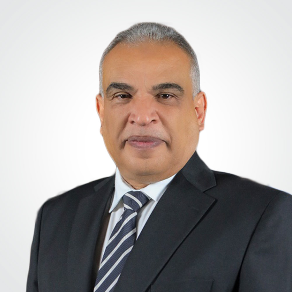 أ.د/ محمد حسين محمود