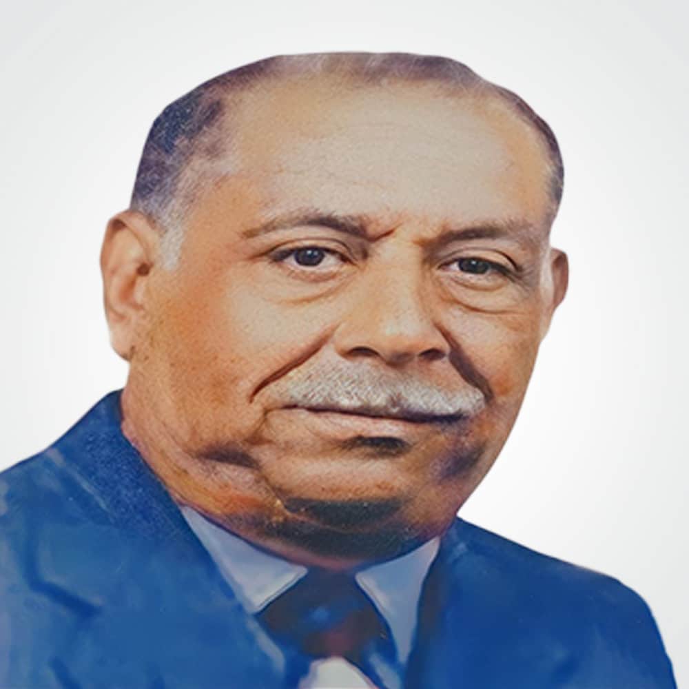 أ.د/ حسن حمدي إبراهيم
