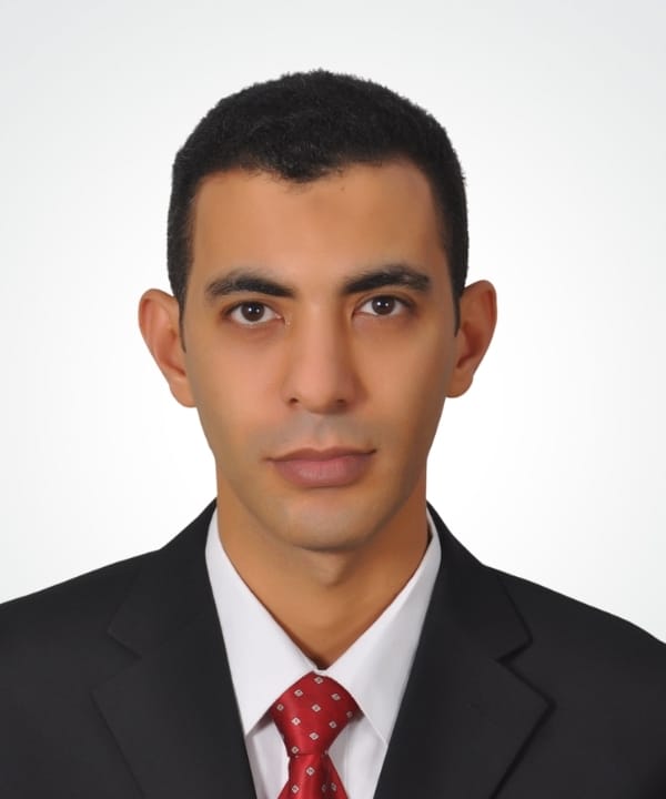 د/ محمود الهباق
