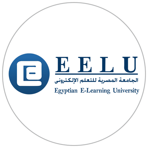الجامعة المصرية للتعلم الإلكترونى الأهلية