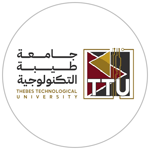 جامعة طيبة الجديدة التكنولوجية